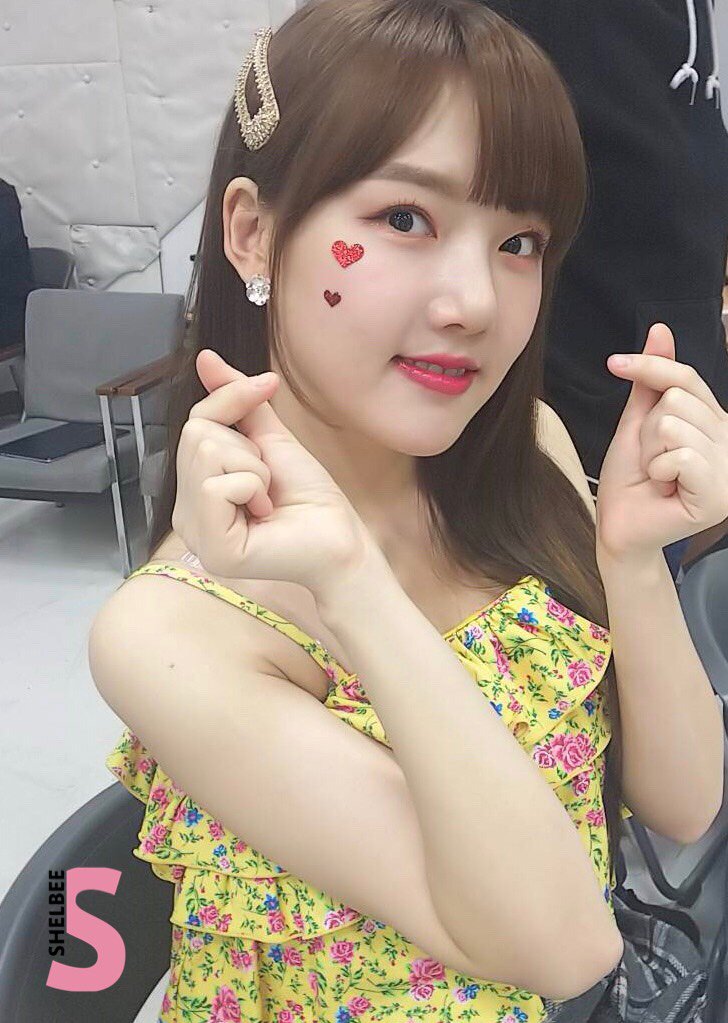 Shelbee_co's tweet photo. GFRIENDの3rdシングル「FLOWER」が本日3/13（水）に発売！
イベント、ツアーなどGFRIENDに会えるイベントが盛りだくさん。
HPをチェック⇨https://t.co/cExDRga2Dk

SHELBEE...ではインタビューもしてきたのでお楽しみに！
#GFRIEND #FLOWER  #여자친구 @GFRDofficialJP https://t.co/M9i7caq5iS
