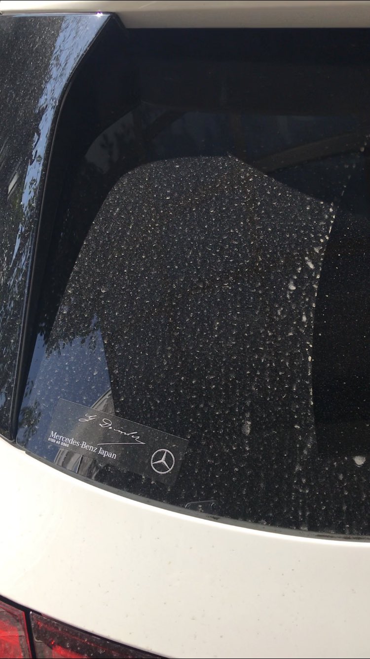 تويتر ユアマイスタースタイル Yourmystar Style على تويتر 車 の窓の砂埃 水垢 お酢で落とす方法がほんとにオススメ キッチンペーパーの上からお酢を霧吹きしてパックすれば あとは新聞紙で拭くだけで跡も残らない 家にあるものだけでできるからすごい