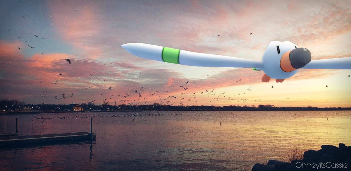 OhheyitsCasssie's tweet image. Look out! The Wingull are flying low at the pier today.

#PokemonGO #GOSnapshot #ARplus