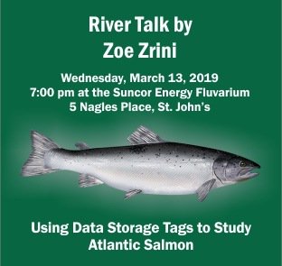 official_SAEN's tweet photo. River Talk on using Data Storage Tags to Study Atlantic Salmon by Zoe Zrini, tonight at 7:00pm @Fluvarium ! - we hope to see you there! #SAEN #conservation #flyfishing #rivertalks #nlfishing https://t.co/plrT3jXjsH
