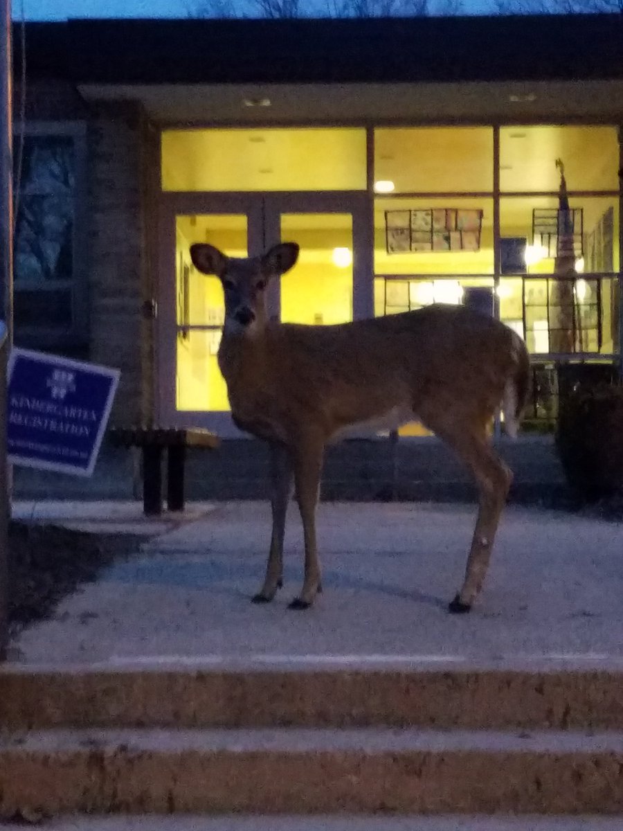 Colonial Hills (@colhillselem) on Twitter photo Morning greetings from neighborhood friends at Colonial Hills ES..today is a good day! <a href="/wcsdistrict/">Worthington Schools</a> #itsworthit Morning greetings from neighborhood friends at Colonial Hills ES..today is a good day! <a href="/wcsdistrict/">Worthington Schools</a> #itsworthit