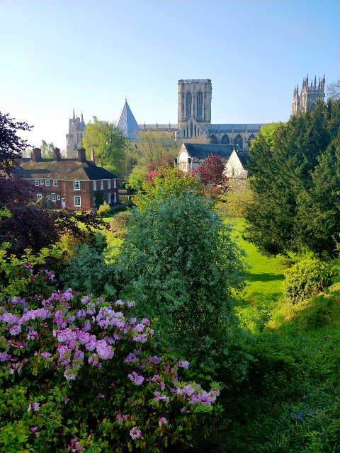 ToursinaDish's tweet photo. Visiting York for the day? Join us on our Hidden Gems food crawl through the picturesque city of York. Steeped in tradition, York is equally blessed variety of culinary treats! #foodie #york #delish https://t.co/4nBkEIUayz