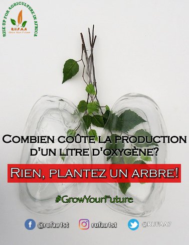 RUFAA7's tweet photo. l'Agriculture... Mon oxygène!

#Agroentrepreneurs
#SaveTheWorld
#Africafirst
#Rufaa https://t.co/DgRIJQ73YA