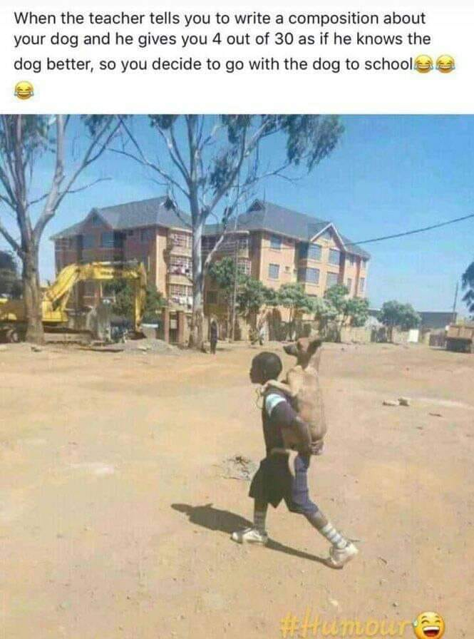 Zimeducate_DA's tweet photo. Harare #DigitalMarketing #SocialMediaIn4Words #SocialMedia #zimbabwean https://t.co/C16BNt3rfx