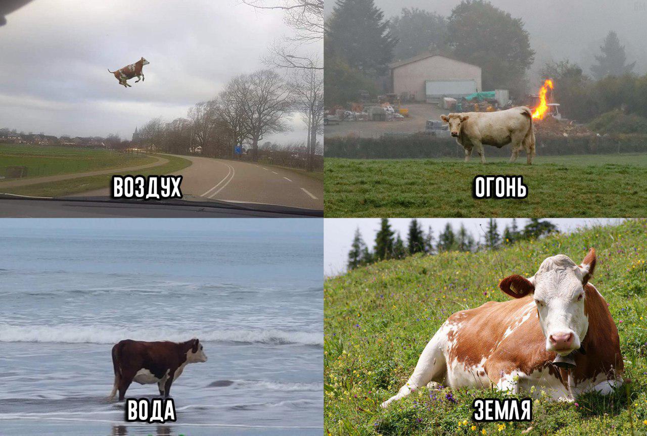 D1iYAKjWoAIoMRJ.jpg:large