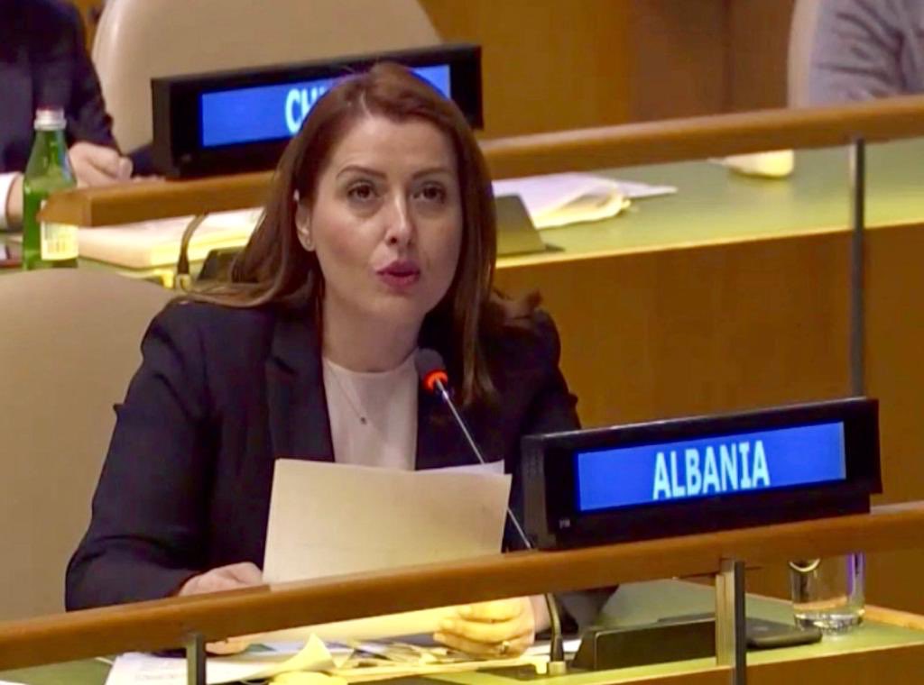 GManastirliu's tweet photo. @UN 63th Session of the Commission on the Status of Women, I emphasized the commitment of the #AlbGov towards better financing of #socialprotection programs that prioritize the #economicempowerment of #women.
#CSW63 #UNCSW https://t.co/xOLvMHtJr3