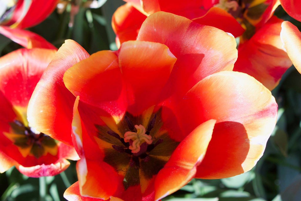 delamediazim's tweet image. Happy Hump Day everyone!
My #wordsofwisdom for social media managment on this fine #wednesday are:
1️⃣ Update your pages regularly - make sure your bio is relevant, contact details and address should all be correct and in use.
#SMM