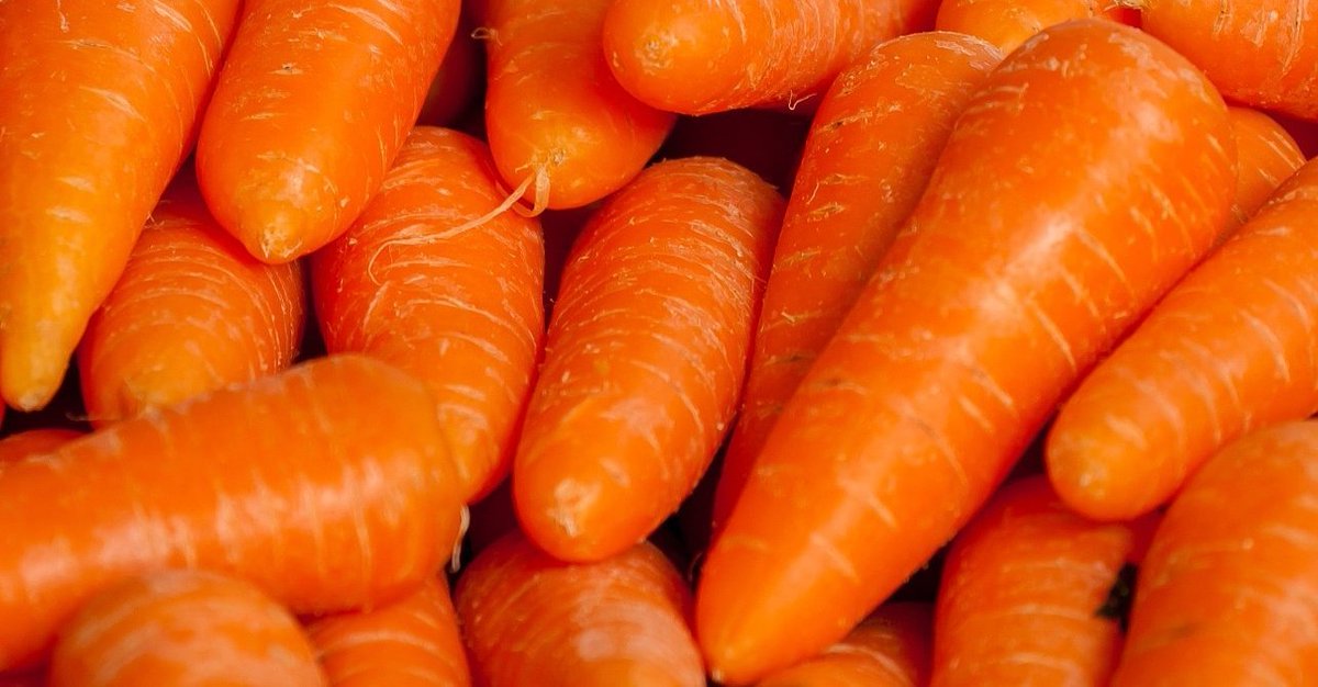 nomadabrew's tweet photo. ¿Cansado/a de las cervezas con fruta? Pues tómate una con vegetales🥕Del carrot cake a la cerveza con zanahoria 🥕 Nómada es más que cerveza. ¡Deja que te sorprendamos con nuestras novedades en el @BcnBeerFest!
#raw #cervezasinhervir #nomadabrewing #wildandchaotic #rawbeer https://t.co/8i3oFm6fJN