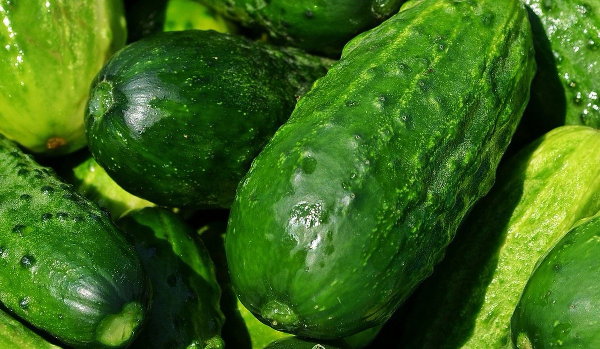 nomadabrew's tweet photo. ¿Cansado/a de las cervezas con fruta? Pues tómate una con vegetales🥒Nos pusieron pepino en el gintónic y ahora en la cerveza🥒Nómada es más que cerveza. ¡Prueba algo diferente en nuestro estand-colmado del @bcnbeerfest!
#raw #cervezasinhervir #nomadabrewing #rawbeer https://t.co/RXXJ92SOmX