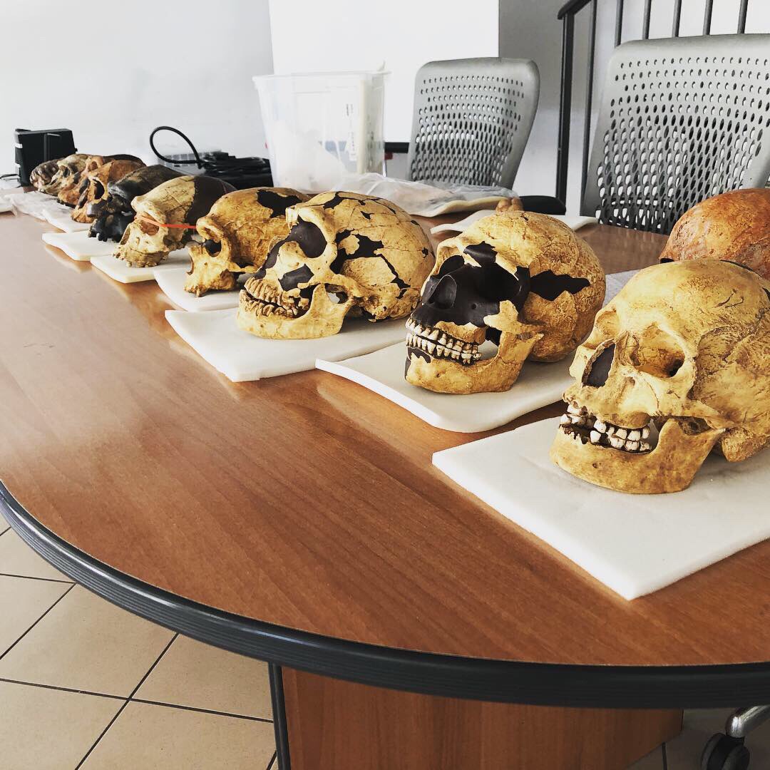 SocietaDi's tweet photo. È iniziata oggi la prima settimana dell’arte rupestre alla Cittadella dei Giovani #iosonocittadella con la scuola primaria di Variney! Laboratori didattici durante “Les Journées de la Francophonie” #préhistoire #artrupestre #evoluzionedelluomo #regionevda https://t.co/3QIRzd44E7