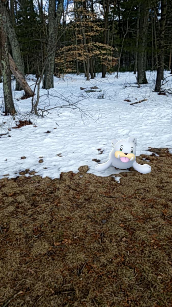 Dr. Maura Rosenthal tweet media