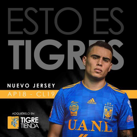 TigreTiendaOfic's tweet photo. Que bueno verte de regreso 😑 @Lucazelarayan31 https://t.co/4OHvhDWbNs