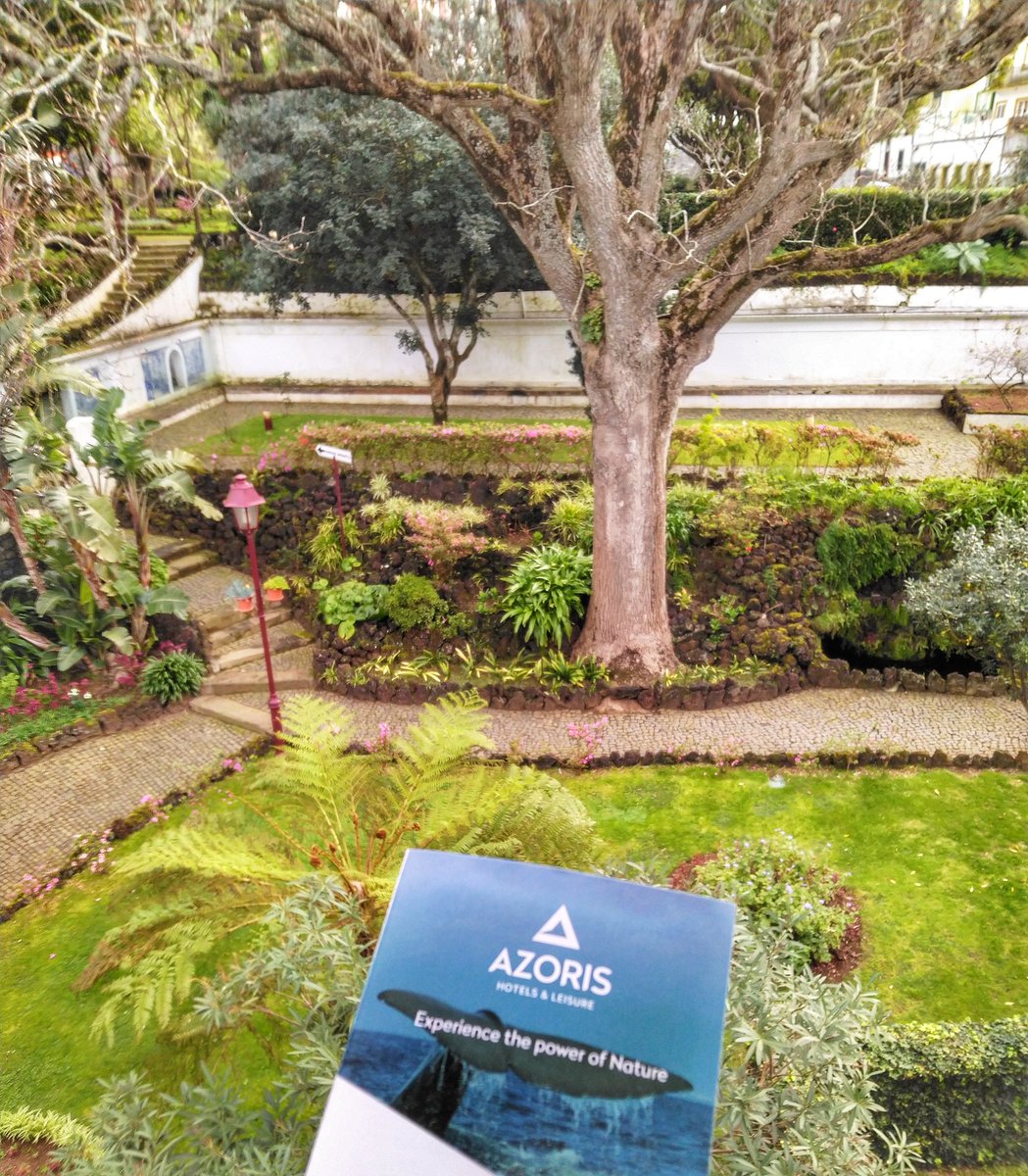 bitopsy's tweet photo. Great talks and walks around the stunning island of #Azores all organized by the 13th AMæGuS PhD students from @IGCiencia . Thank you #AMeeGuS & CM Angra do Heroísmo & congrats! Excited to be here with @IGCcentrioles @_azoresairlines @AzorisHotels @VisitTerceira https://t.co/w7iwn0RED9