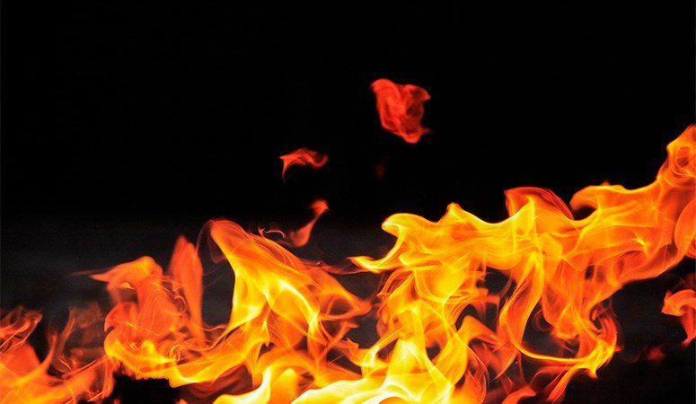 Profiel Online tweet media