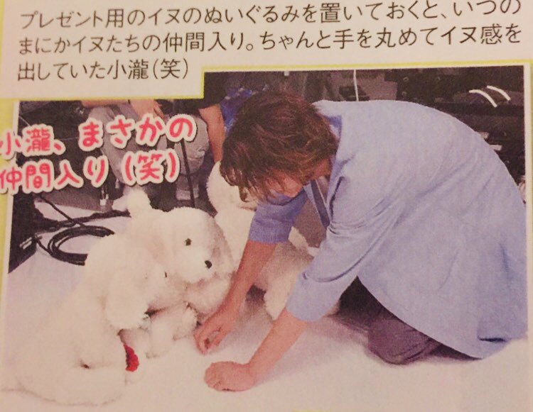 hmdasuka's tweet photo. 小瀧さんとぬいぐるみの組み合わせって最強じゃないですか？？？？？？ https://t.co/SeUmk78IRt