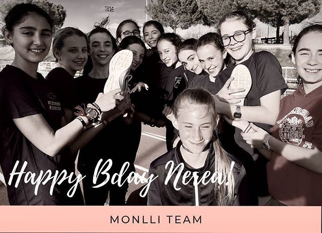 Monlli Team tweet media