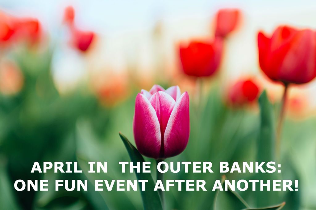 6 Wonderful Reasons To Visit Manteo, NC This April whitedoeinn.com/blog/2019/03/6…