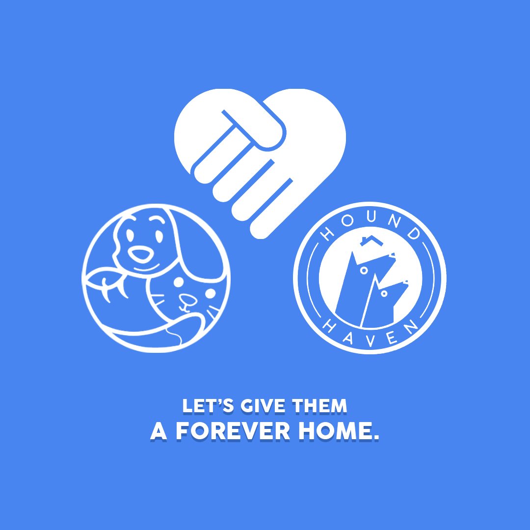 PrintedPetsph's tweet photo. For every order, you help save a life since a portion of our proceeds goes to HoundHaven Philippines, an NGO dedicated to advocating K-9 working and retired dogs. 🤗

#PrintedPetsPH
#PetsPH https://t.co/el21a7DUQk