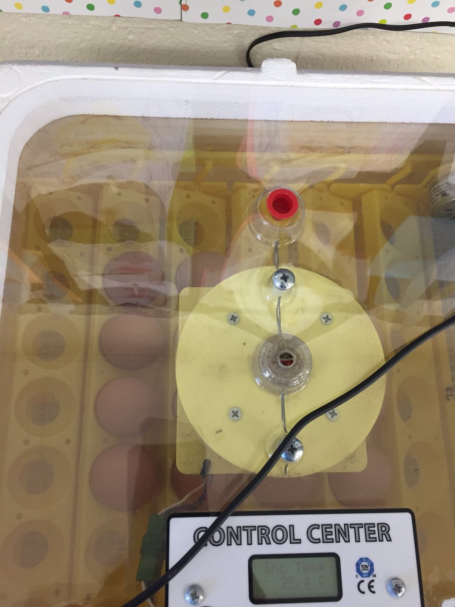 MSouchette's tweet photo. 2nd graders spent the afternoon learning about the chicken eggs that we will foster! @HistoricNE #projectchick #caseyfarm https://t.co/oKwWCZqzyn