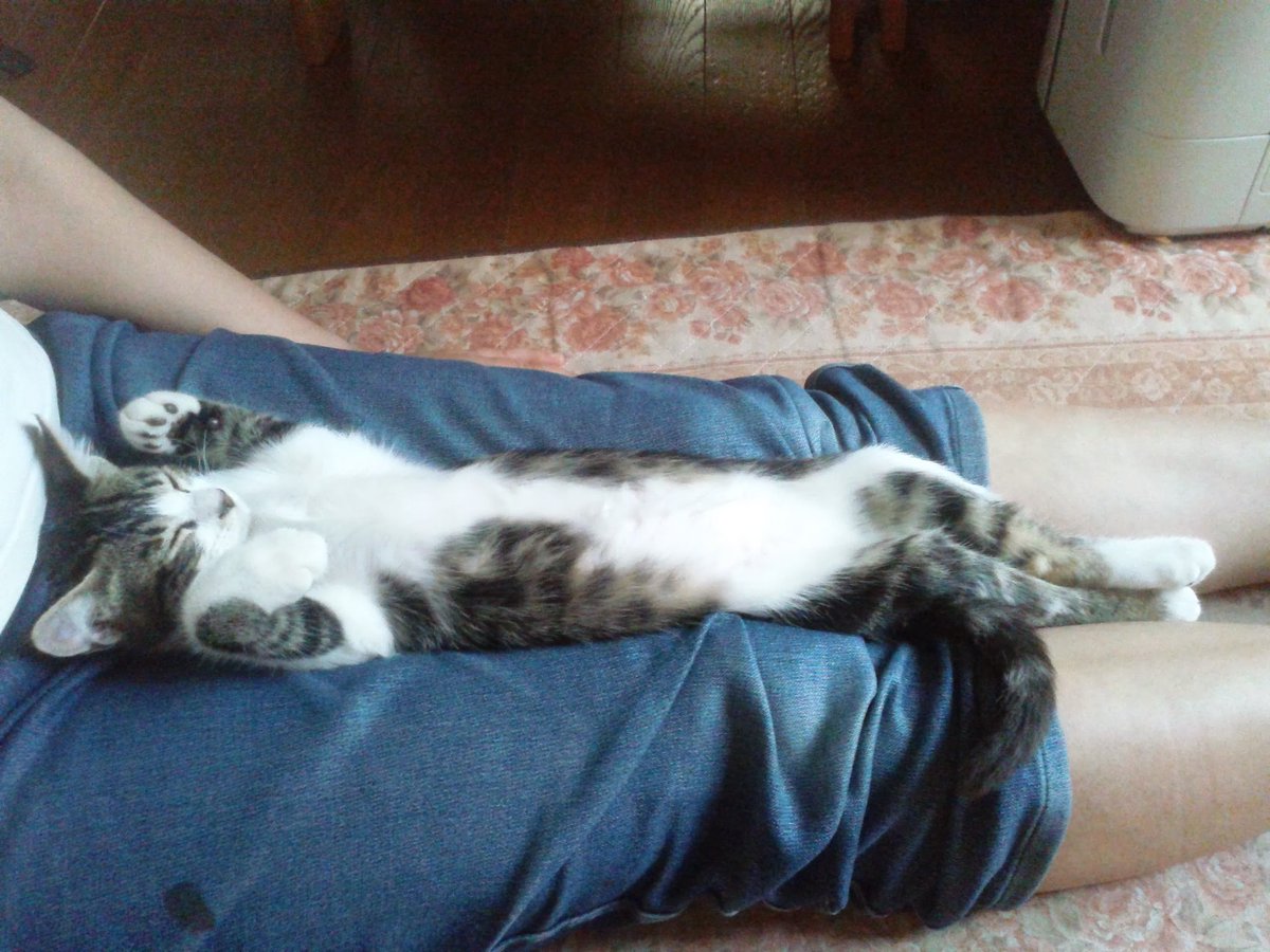 はんべえ🍮✖²🌼 tweet media