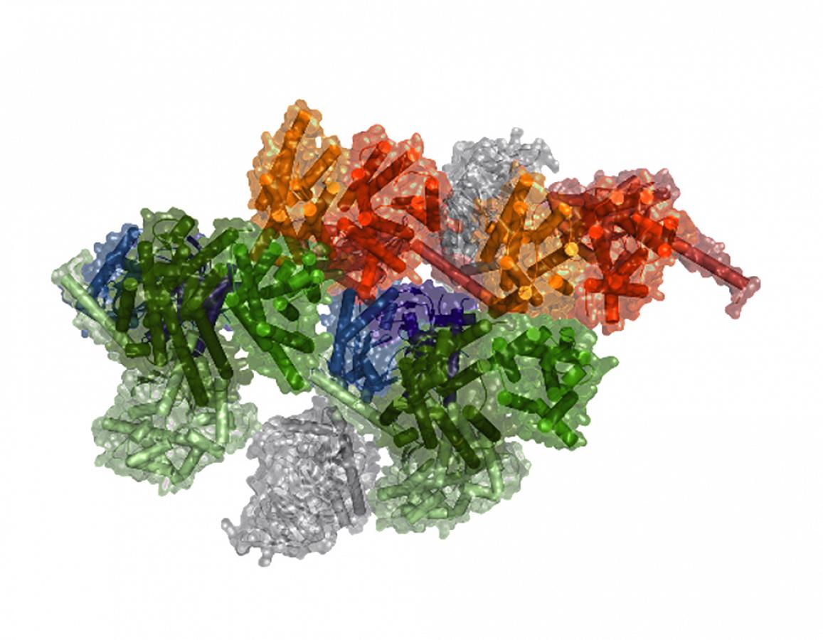 PLOS ONE is excited to announce a #CallForPapers on Targeted Anticancer Therapies &amp; Precision Medicine in Cancer! The Collection will explore driver genes, drug discovery &amp; resistance, early detection &amp; screening, and more. #Cancer collections.plos.org/s/targeted-ant…