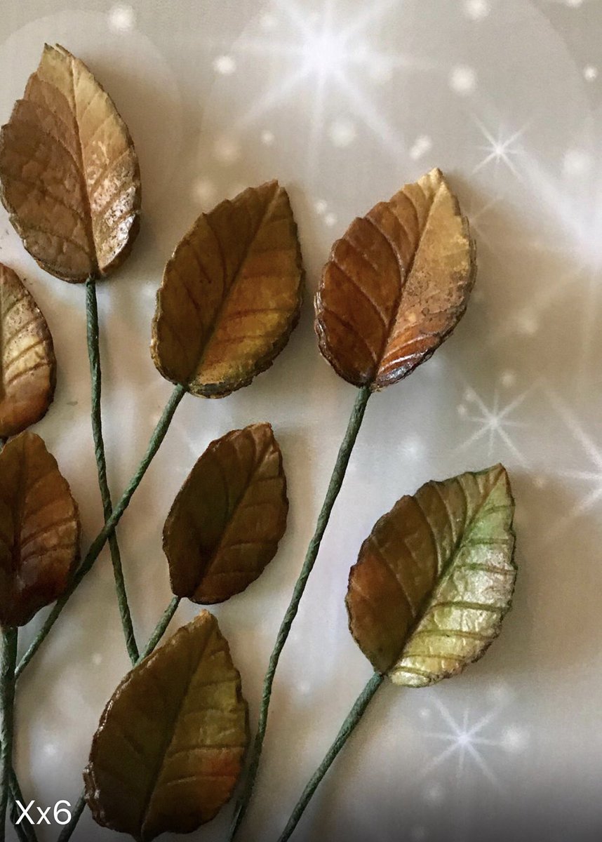 marybethxx6's tweet photo. Sugar rose leaves #sugarwork #faffingabout #petaldusts https://t.co/RjBvU9t04Q