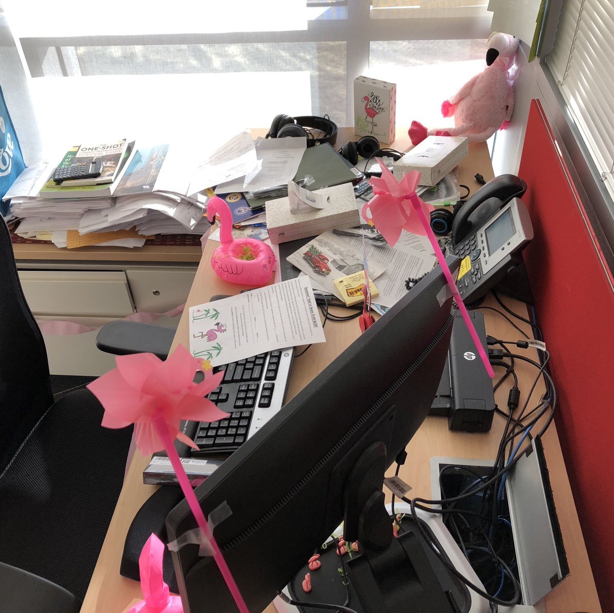 germannalibrary's tweet photo. The GSA Flocking Fundraiser is in full effect at the #germannalibraries Our Locust Grove campus and two of our librarians got flocked this week! Who could be next?! #flamingoflocking https://t.co/PvXwBefDmp