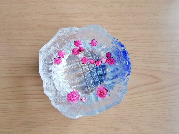 咲く前に落ちてしまった梅の蕾も 拾って水に浮かべておけばこんな素敵