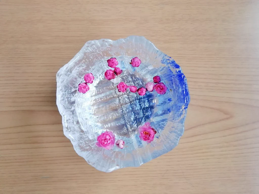 蕾を水に浮かせておくと、命が繋がって綺麗な花を咲かせます！！