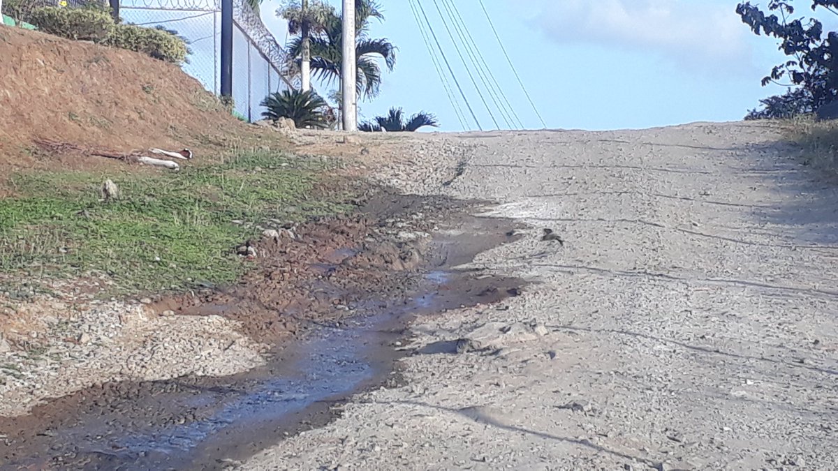 BricyLee's tweet photo. @IDAANinforma Buen día. Hace varios días lleva botando agua esta tubería. Pedregal, Calle Real El Naranjal, frente al tanque de agua del IDAAN. Gracias. @AlvaroAlvaradoC https://t.co/HtQQFrqXAq