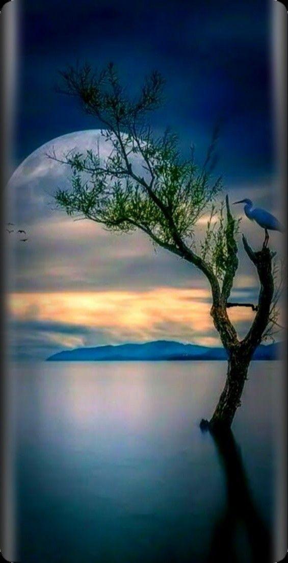 Fact840's tweet image. 