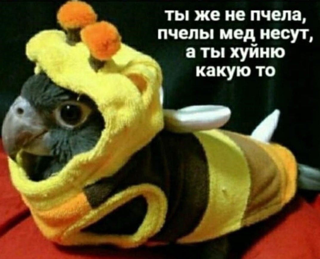 D1ix4o_WwAA3NmO.jpg:large