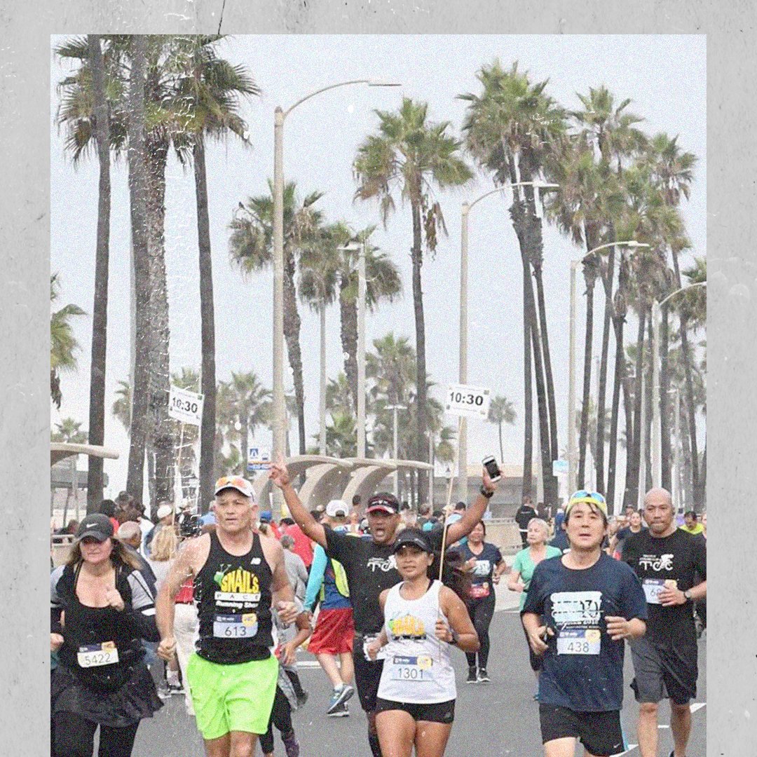 ASPRunning's tweet image. Snail's embrace the challenge. #RunASP #YouTrailASnail