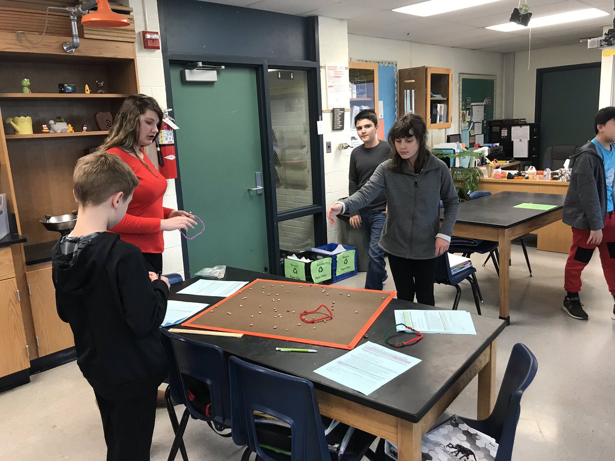 jgschlenkert's tweet photo. 6th grade scientists investigate limiting factors in ecosystems. The owls (pipe cleaners) catch the mice (beans)! @PagePanthers @PageSciDept #wearelamphere https://t.co/NFwIr7qnII