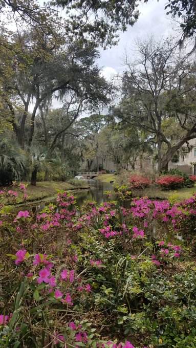 Beautiful SeaPines, HarborTown, HH, SC. https://t.co/YHqdUxWkGp<a href="/tag/domination"class="tags"><span>#domination</span></a><a href="/tag/femalemuscle"class="tags"><span>#femalemuscle</span></a>