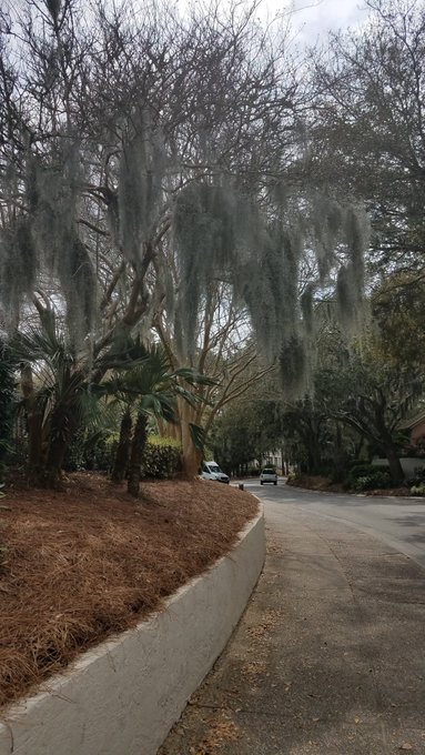 Beautiful SeaPines, HarborTown, HH, SC. https://t.co/YHqdUxWkGp<a href="/tag/biceps"class="tags"><span>#biceps</span></a><a href="/tag/bigboobs"class="tags"><span>#bigboobs</span></a><a href="/tag/bigclit"class="tags"><span>#bigclit</span></a><a href="/tag/muscleporn"class="tags"><span>#muscleporn</span></a>