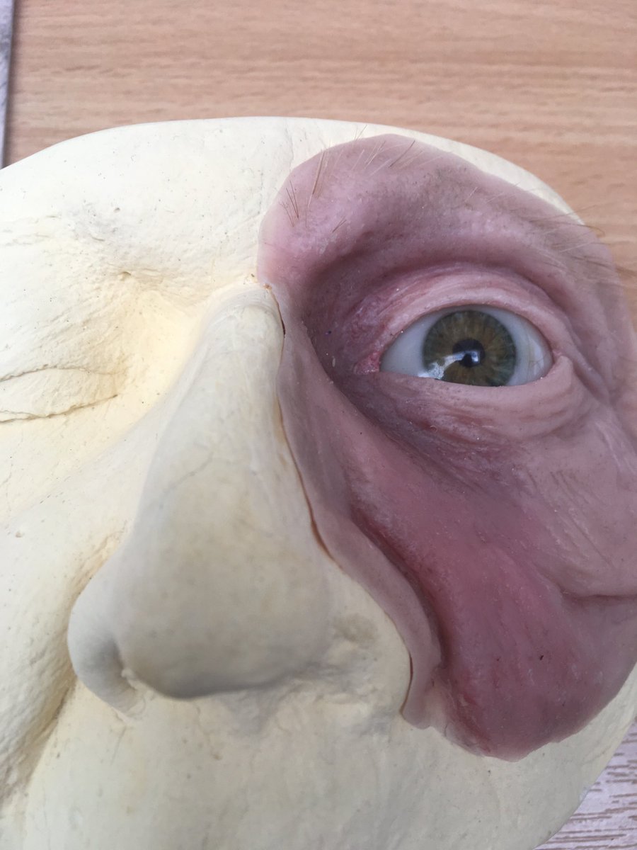 Deborah62655228's tweet image. Tweet crazy today! Just spent an hour at the Healthcare Scientists Fair at GRH, talking to year 11 kids about potential careers. Despite 30 years in the NHS, I had no idea of the range of roles these talented people do; amazed by the prosthetics team; art meets science! #J2O