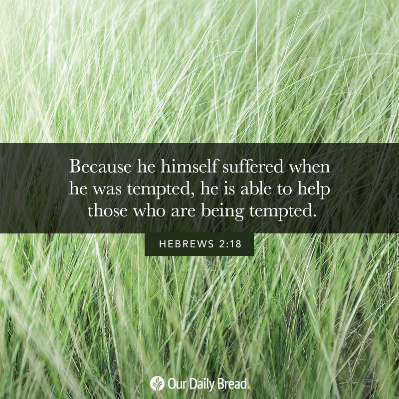 Do a favour перевод. Medical condition. Modal verbs модальные глаголы. Able help. People have periods.