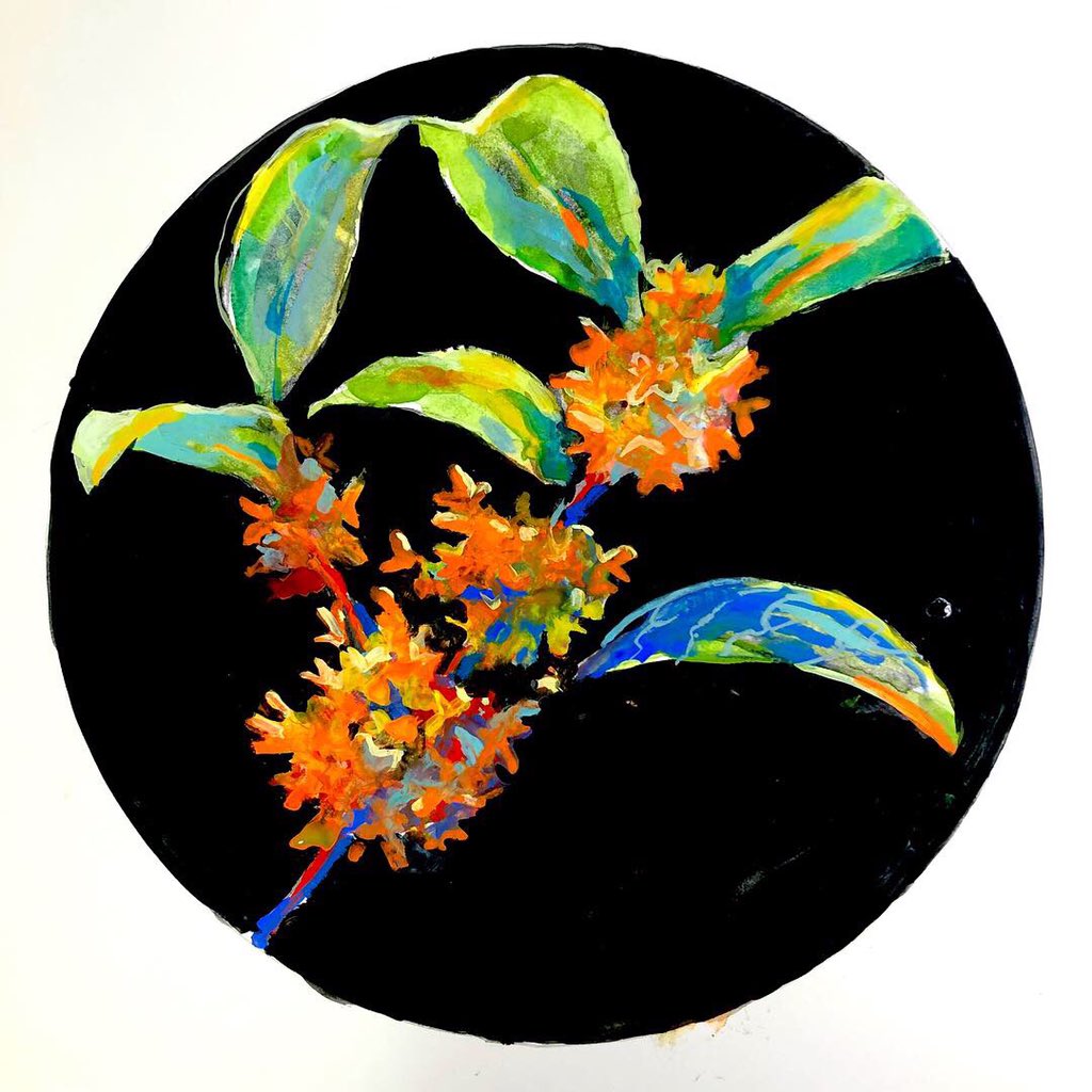 D1jAwOOVAAAPvUc.jpg?format=jpg