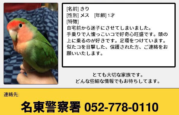 よっぴ Yyyy O V L Twitter