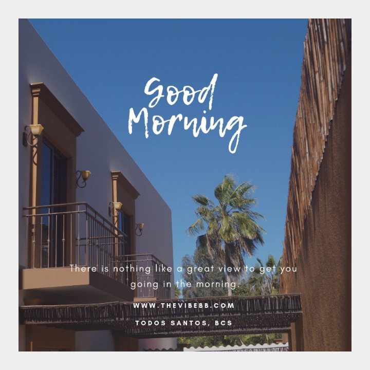 thevibebb's tweet photo. Hoping everybody is having a wonderful Wednesday start 🌴
Enjoy it at Todos Santos and start feeling The Vibe! 
.
.
.
#wenesday #morning #sunny #goodvibes #todossantos #bcs #bedandbreakfast https://t.co/zacgwhFd6a