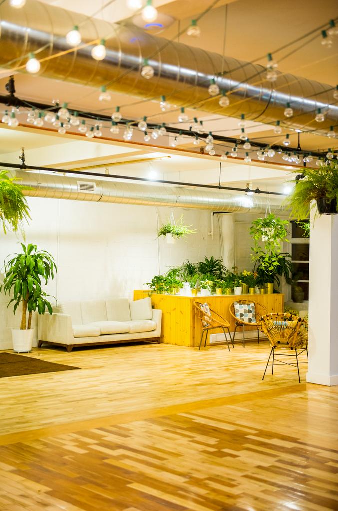 plotlygraphs's tweet image. Have you heard that we’re launching a co-working space on the 3rd floor?  @Anomaly_MTL is coming to the Mile End in Montreal on May 15th! 
Follow them on IG and Twitter for updates and beautiful photos 🙌🌿💙  buff.ly/2SH6rar made by #plotlylife