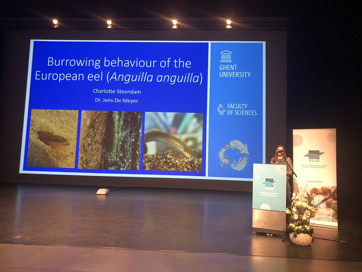 sheilaheymans's tweet photo. Charlotte Steendam from @MarineAtUGent won the Batchelor award on digging behaviour of European eels at #VMSD2019 @EMarineBoard @jmeesvliz https://t.co/HhBGfhXO2e
