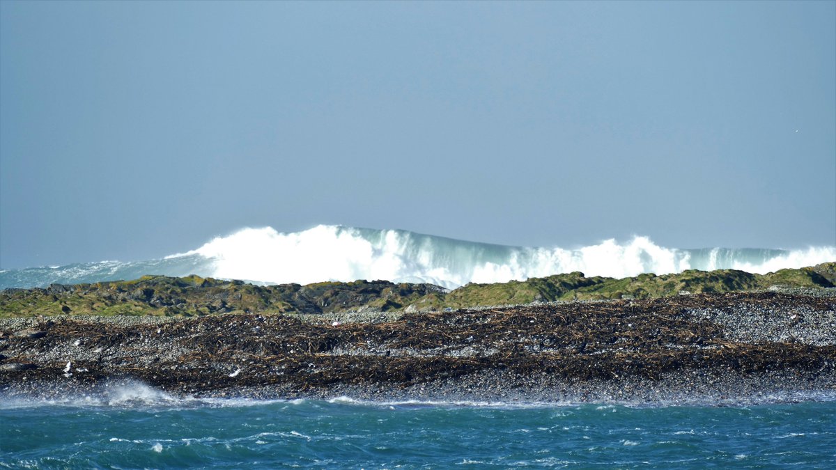 davidliv25's tweet photo. Still heavy seas  in Islay today https://t.co/Y1thMfYcn9