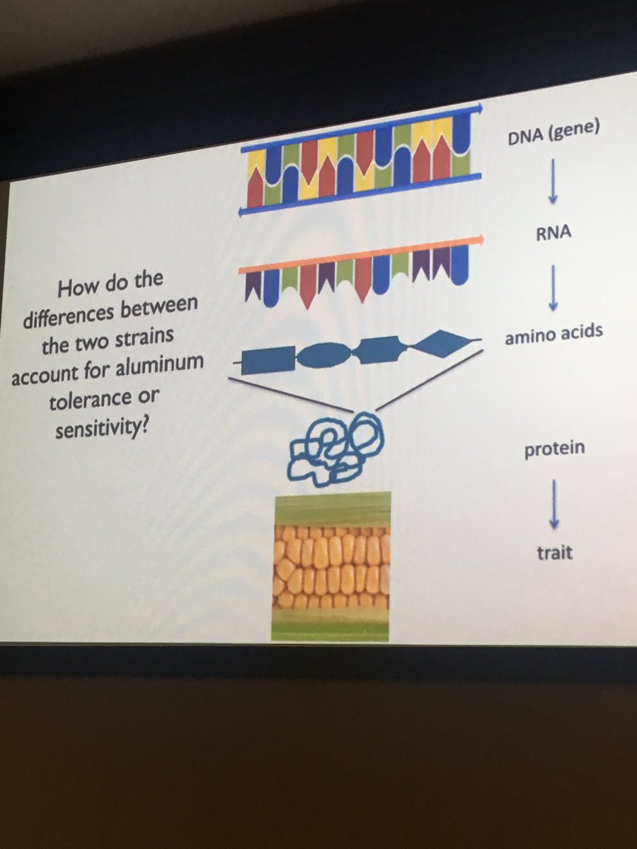 The central dogma... back to basics !
<a href="/HAEdOutreach/">Educational Outreach</a>