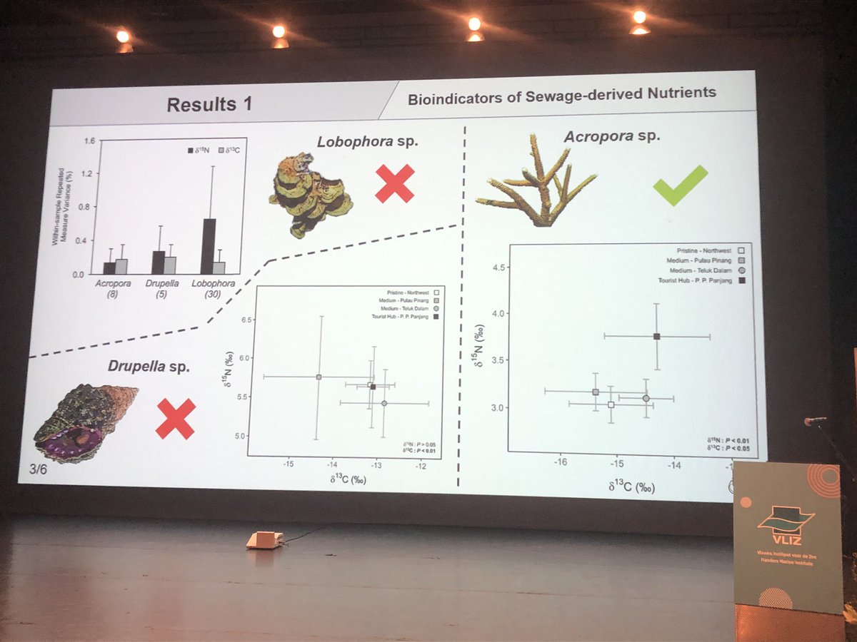 sheilaheymans's tweet photo. Liam Lachs, second VLIZ master award winner gave a talk via video on sewage pollution on coral reefs at #VMSD19 @EMarineBoard @jmeesvliz https://t.co/6TG4fcOKO9
