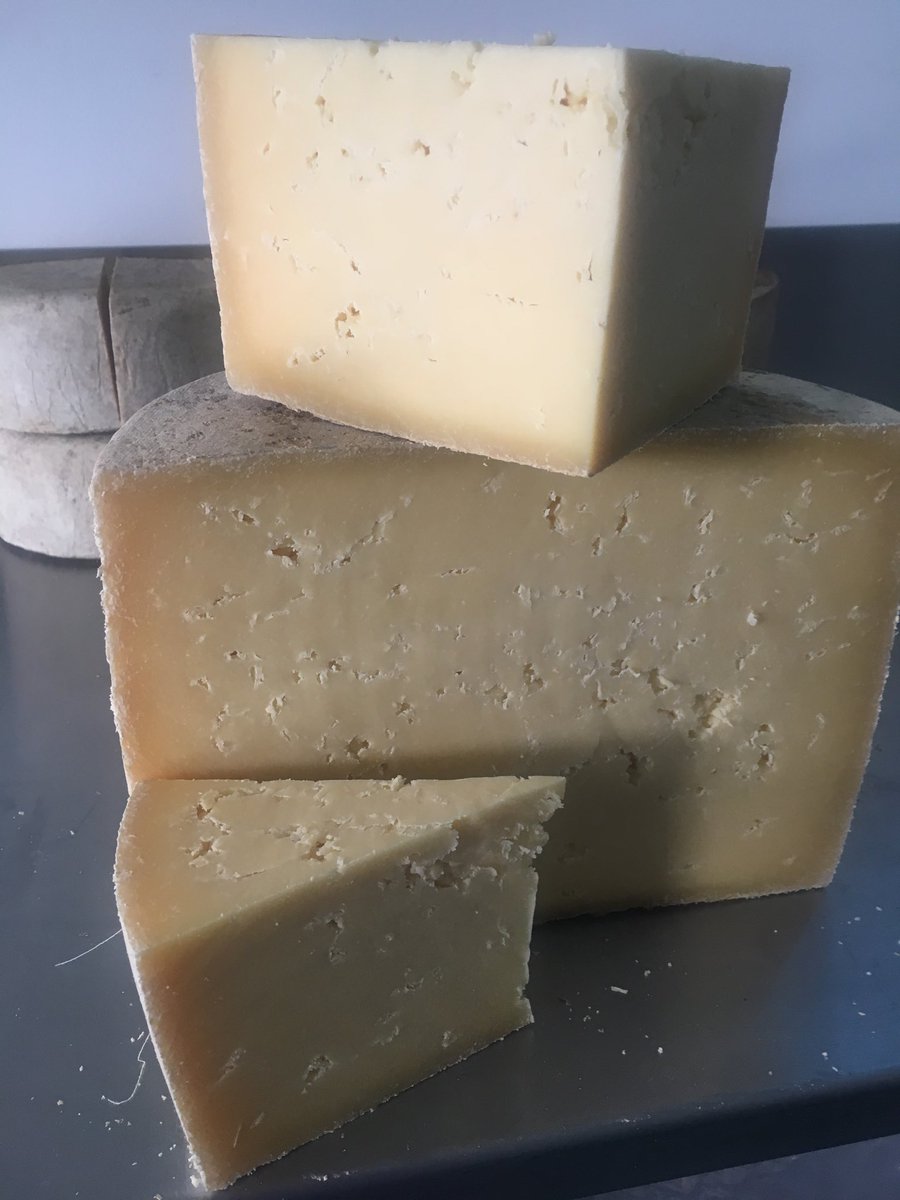 We opened this orphan truckle of cheese today made in 2015 - amazed that it is as moist , creamy and flavoursome as some that are half its age.