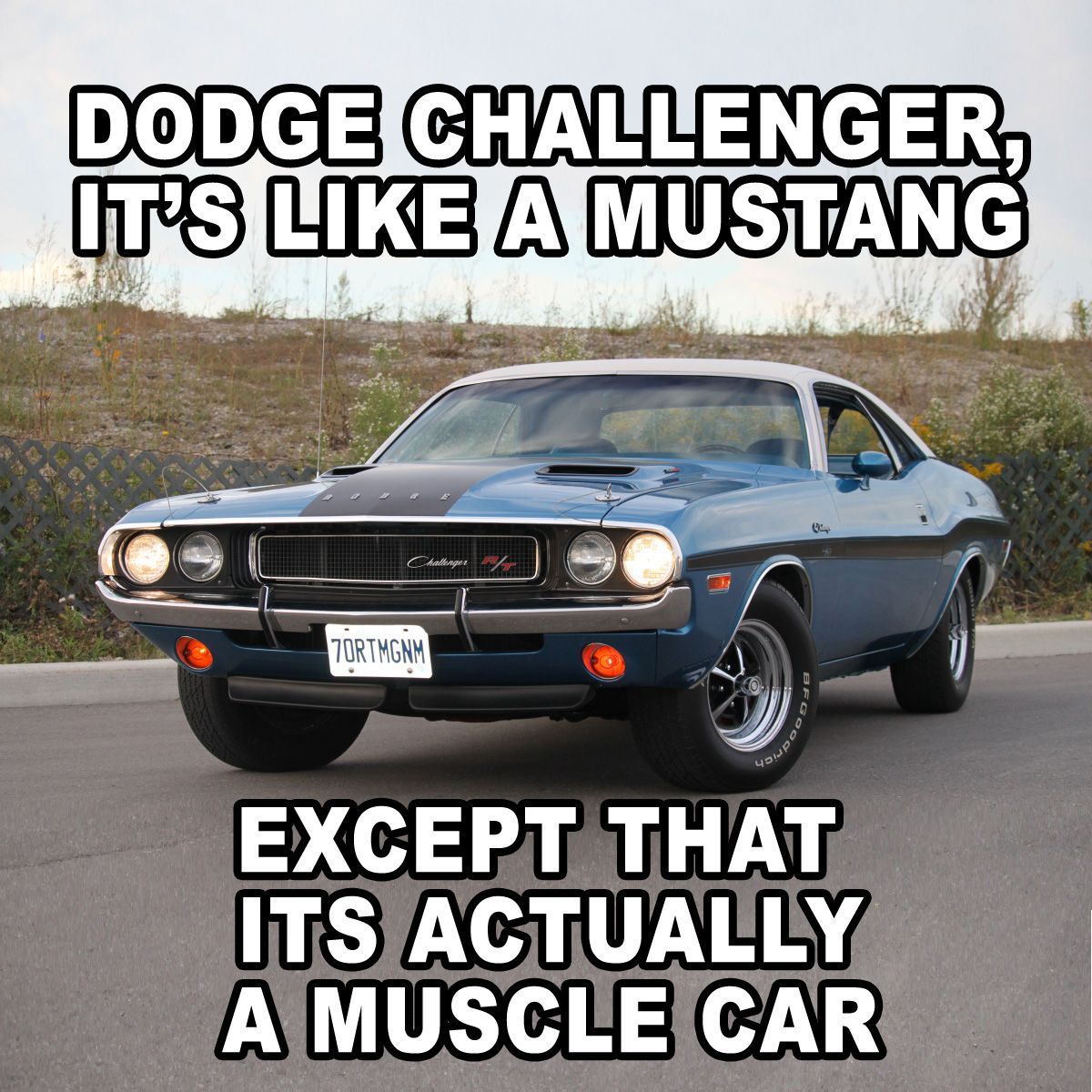 graveyardcarz's tweet photo. Happy Hump Day, Ghouls! #MoparOrNoCar #GraveyardCarz #Mopar4Life #MoparNation #MoparMeme https://t.co/G7eKcKi47F