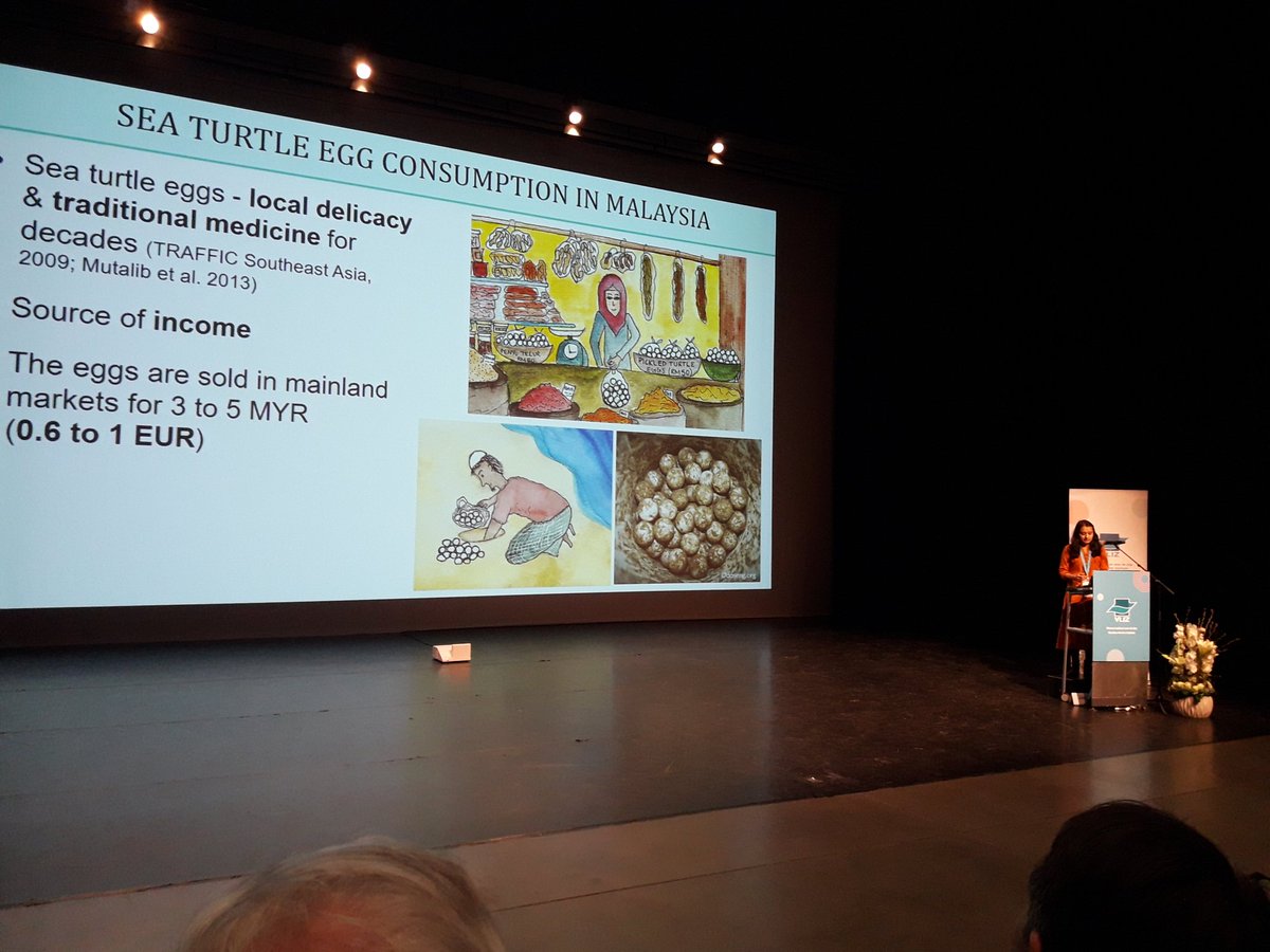 TROPIMUNDO's tweet photo. @TROPIMUNDO Alumnus @meenakshi_poti wins the VLIZ Master Thesis Award for her @UMT_Official @sermlab research on conservation and consumption of sea turtles eggs in Redang Island, Peninsular Malaysia. Award ceremony now taking place at #vmsd19
@ULBSciences @VUBrussel https://t.co/s4P7dmG7xX