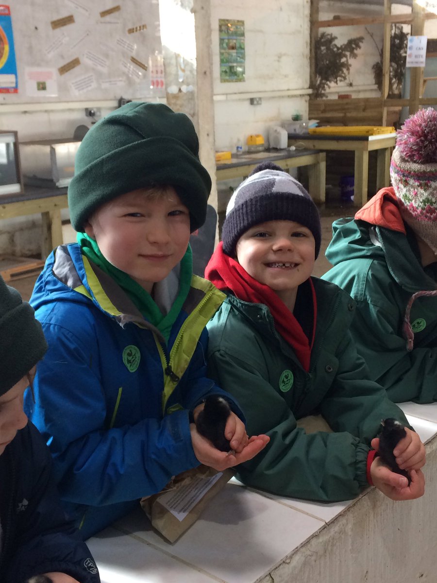 LittleArdvreck's tweet photo. Little Ardvreck’s trip to Auchingarrich Wildlife Centre. https://t.co/TAdxoPtuX9